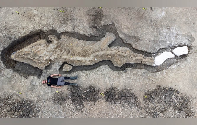 A palaeontologist poses for a picture with the Ichthyosaur skeleton found at Rutland Nature on Monday.
