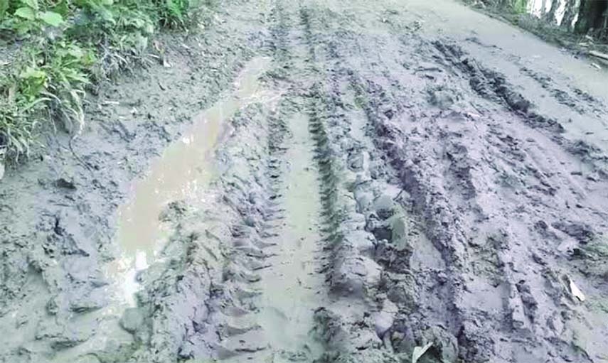 BARAIGRAM(Natore): The dilapidated one km road of Kechuakora Village of Joari Union of Baraigram upazila needs immediate repair. The picture was taken on Saturday.