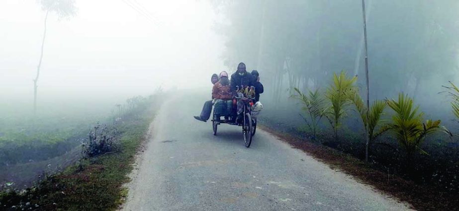 A van puller carrying passengers in a foggy weather in Tentulia upazila of Panchagarh district on Sunday as a mild cold wave is sweeping across the country. NN photo