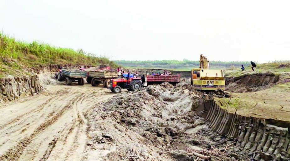ISHWARDI (Pabna): The illegal sand and soil lifting from the crop lands of Padma char area in Laxmikunda of Ishwardi Upazila are going on unabated. The picture was taken on Monday. NN photo