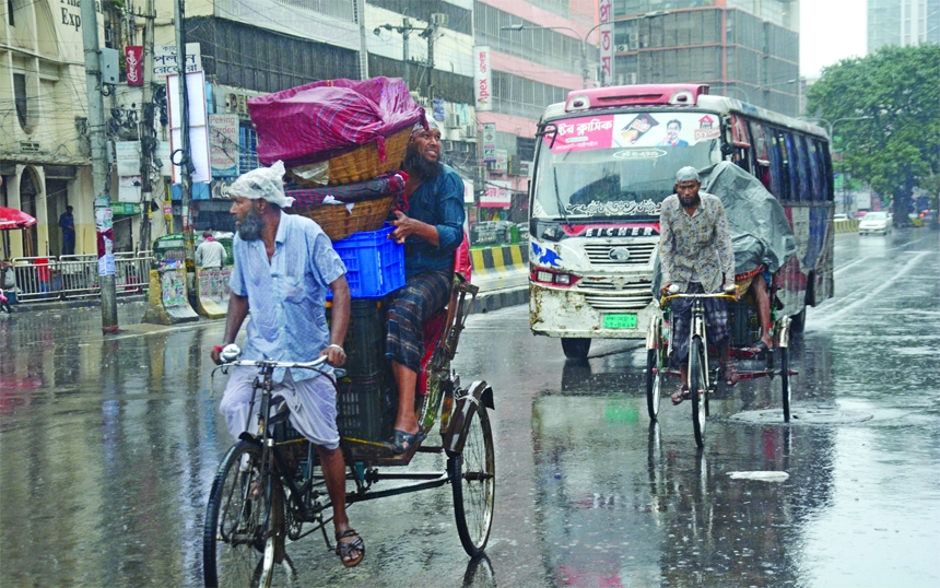Rickshaw pullers carry passengers during the rain in the capital on Friday as winter showers usher chill in Bangladesh.