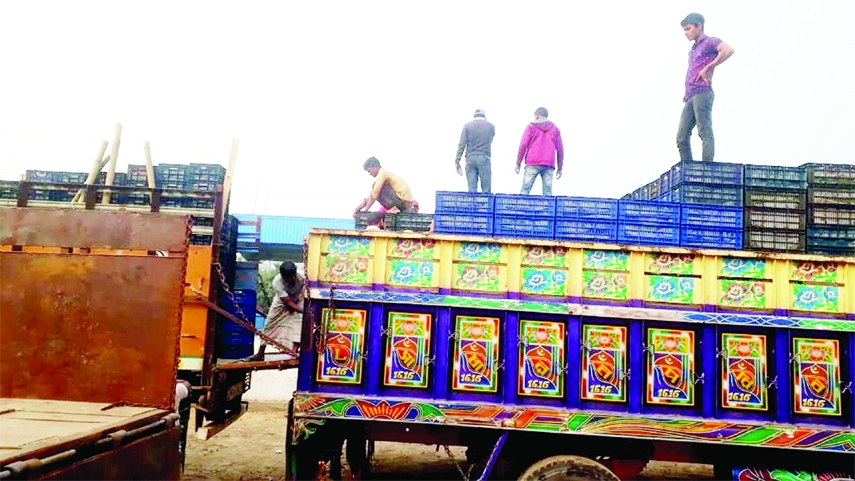 SHIBGANJ (Chapainawabganj): Fruits loaded trucks enter into Bangladesh from India through Sonamosque Land Port in Shibganj Upazila Point without formalin tests. The picture was taken on Tuesday.