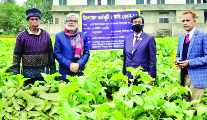 SYLHET: Dr Sheikh Mohammad Boktiare, Executive Chairman, Bangladesh Agriculture Research Council with other officials visit the BARI Bagun-12 field of farmer Saidur Rahman in Mandirkhola area in Dakkhin Surma Upazila recently.