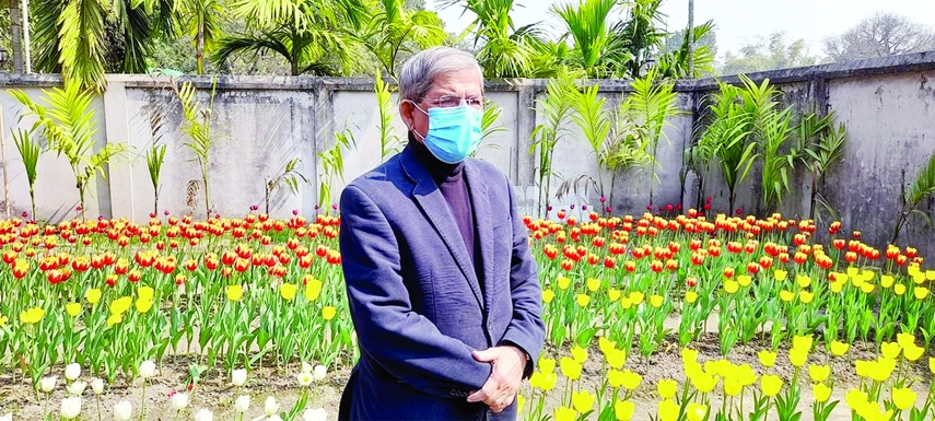 TETULIA (Pancharag): BNP Secretary General Mirza Fakhrul Islam Alamgir poses for a photo session in front of a tulip garden in Tetulia Upazila during his visit on Saturday.