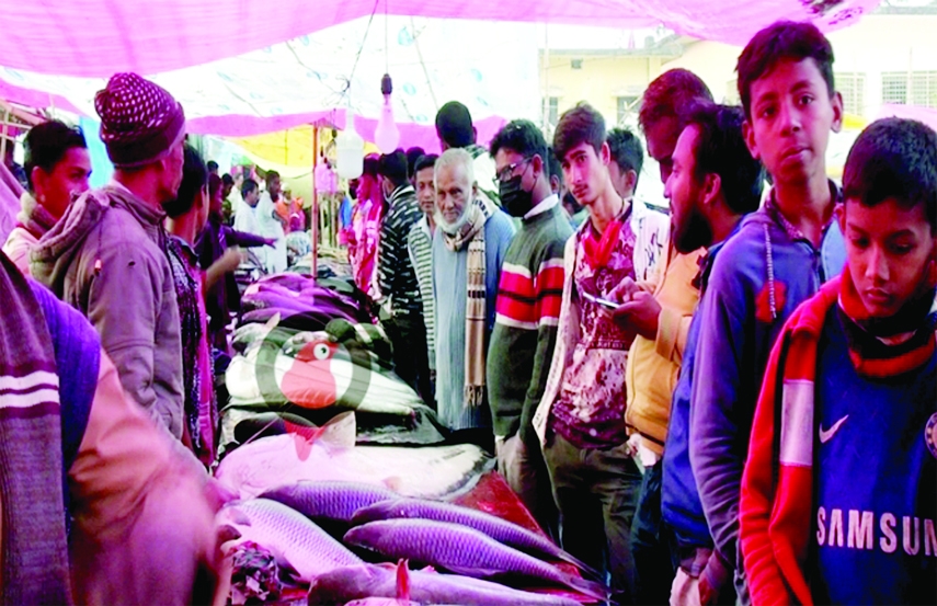 KISHOREGANJ : The 400 years traditional Kurikhai Fair begins in Katiadi Upazila of Kishoreganj recently.