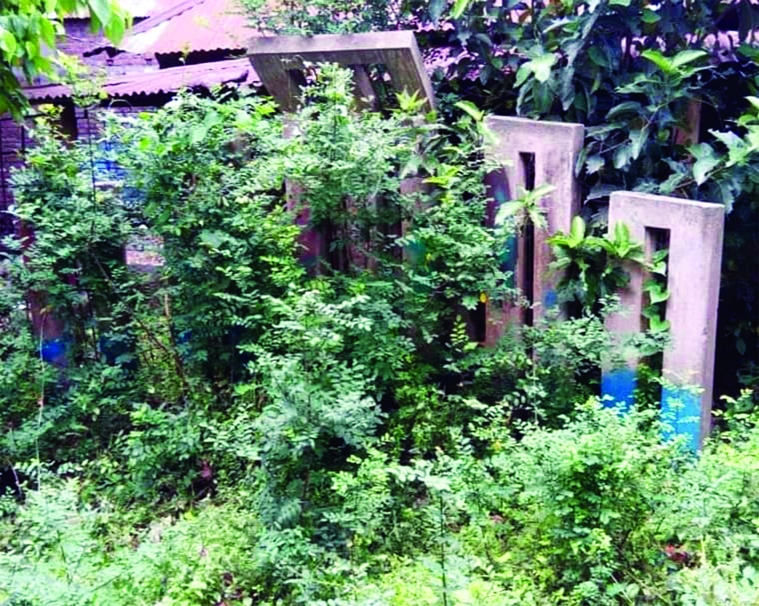 BHANGURA (Pabna): The Shaheed Minar at Maidandighi Bazar in Khanmarich Union under Bhangura Upazila of Pabna turns into a jungle due to lack of maintenance. The photo was taken on Thursday.