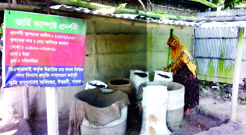 ISHWARDI(Pabna): Use and production of nature fertilizer increase at Ishwardi Upazila.