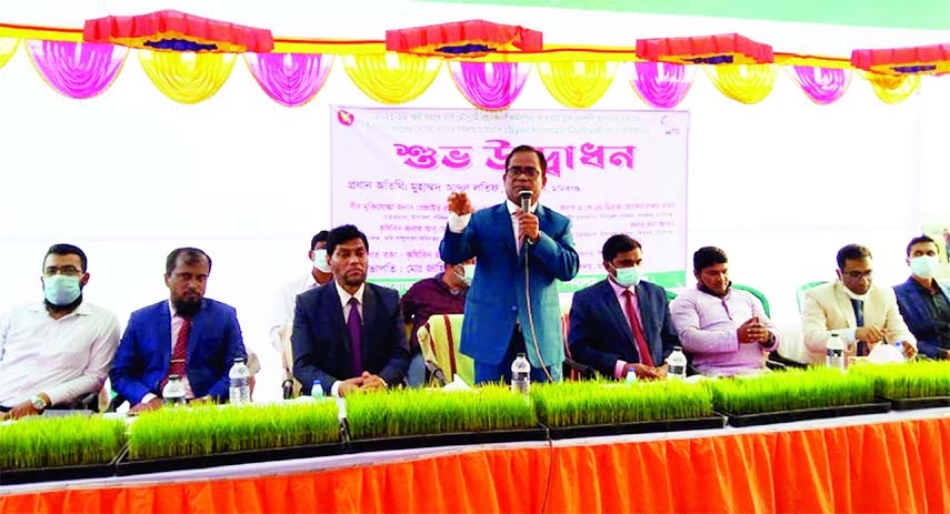 MANIKGANJ: Synchronized cultivation of hybrid varieties of Boro Paddy was inaugurated at Ramgar ground of Shibalaya Upazila on Tuesday. Manikganj DC Muhammad Abdul Latif inaugurated the programme as chief guest.