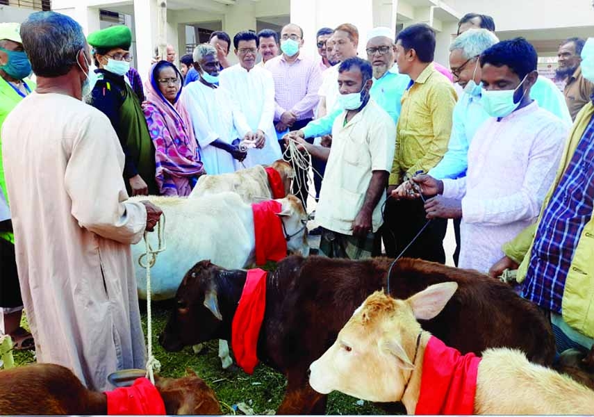 BETAGI (Barguna): Betagi upazila Fisheries Department hand over calves to the poor marginal fishermen at Upazila Parishad premises on Wednesday.