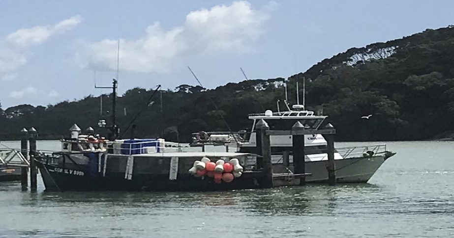 This photo shows a charter fishing boat, right, operated Enchanter Fishing Charters, at the Mangonui Wharf in Mangonui, New Zealand, Monday, March 21, 2022.