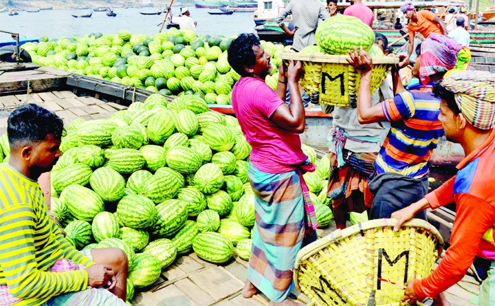 Watermelons are seen in plenty in Sadarghat area on Thursday. Such type of seasonal fruit is being brought to the capital through waterways on the occasion of imminent holy month of Ramzan.
