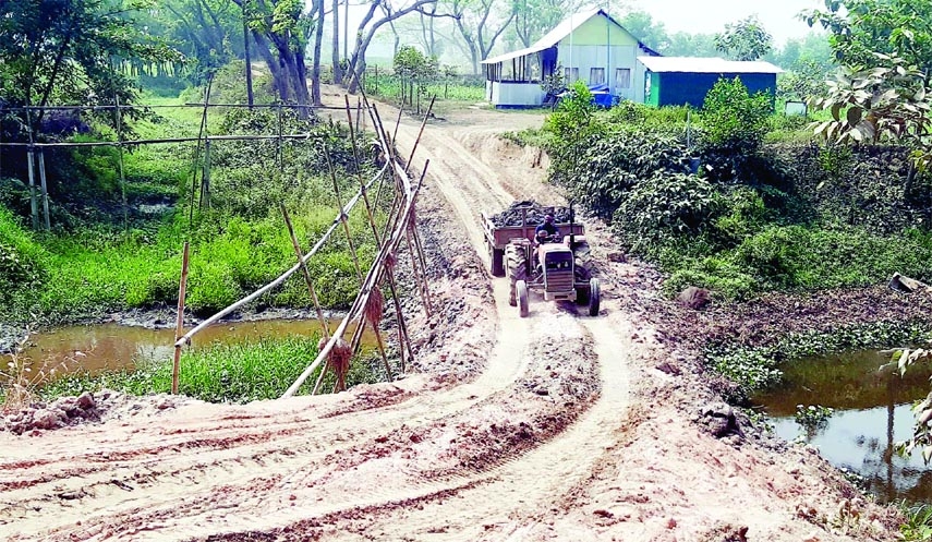 MURADNAGAR (Cumilla): Influential make at dam Nimaijuri River at Muradnagar Upazila to lift soil from crop lands. This snap was taken on Saturday.