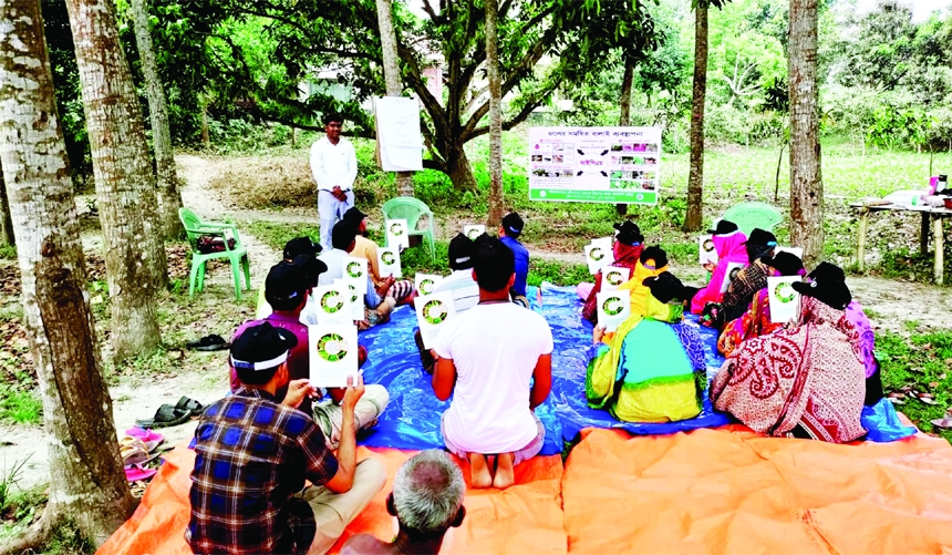 CHATMOHAR (Pabna): Md Saidur Raman, Deputy-Assistant Agriculture Officer conducts farmers' training in Farmers' Field School at Ramchandrapur Village in Chatmohar Upazila on Monday.