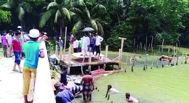 Famers and people delighted as Upazila Administration cut down three point dams which causes sufferings to the inhabitants of that area around Badurtoli canal in Tiyakhali Union of KalaparaUpazilaon on Thursday.