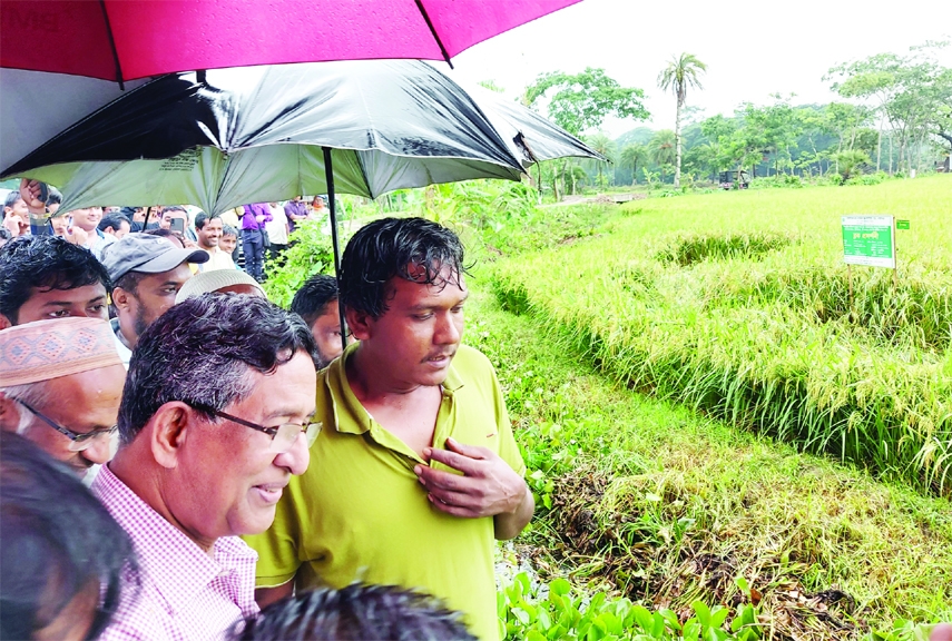 BARISHAL: Agriculture Minister Abdur Razzak visits Boro Paddy field as the Chief Guest on the occasion of Field Day of Boro Paddy at Nanda Para village in Bakerganj upazila on Monday.