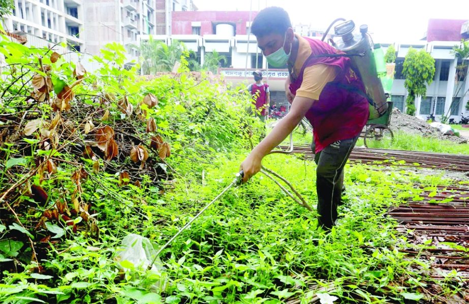 Workers of Dhaka South City Corporation sprays mosquito pesticides in the gardens of Bangabandhu Hall of Dhaka University on Wednesday in order to prevent Dengue.