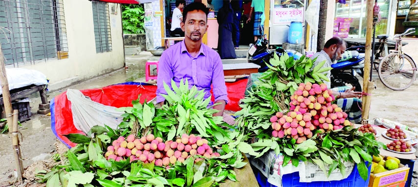 SONARGAON (Narayanganj): A frustrated litchi farmer at Sonargaon Upazila waits for customers as the quality of litchi declined due to sudden nor'wester. The snap was taken on Monday.