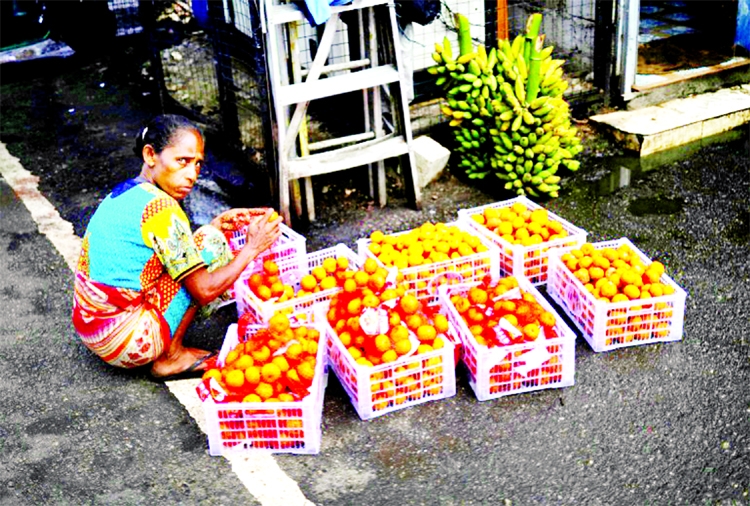 A vendor packs fruits to sell at a vegetable market in Colombo.