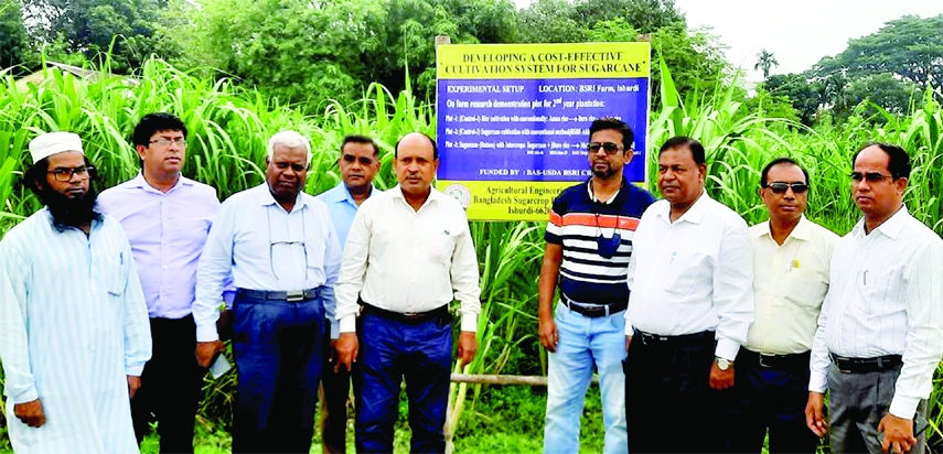 ISHWARDI (Pabna): Kamalaranjan Das, Additional Secretary, Agriculture visits Boro paddy cultivation as a companion crop of sugarcane in Ishwardi Upazila on Friday.
