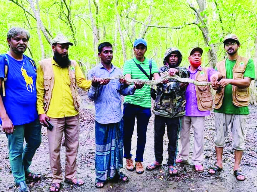 BARISHAL : A nine- feet long python r ecovered from a dates tree in Ruhita Village near Bihango Island in Sadar union of Patharghata upazila on Friday.
