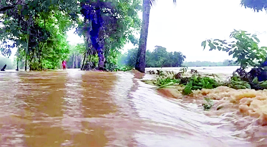 Low-lying areas are seen inundated in Jhinaigati upazila under Sherpur district on Friday as the water-level of Moharoshi River increased due to incessant rain and onrush of hill water.