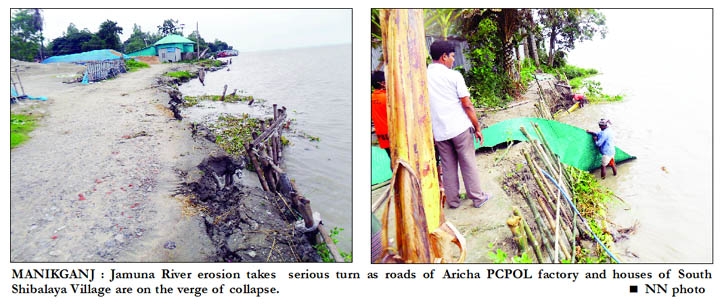MANIKGANJ : Jamuna River erosion takes serious turn as roads of Aricha PCPOL factory and houses of South Shibalaya Village are on the verge of collapse.