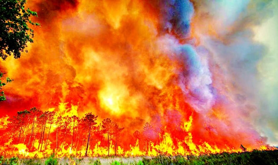 A view of trees burning amid a wildfire near Landiras in southwestern France on Saturday. Agency photo