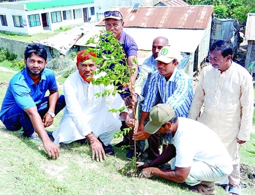 KALAPARA (Patuakhali): Md Anower Howlader, Poura Mayor inaugurates plantation programme organised by Kuakata Forest Department on Friday.