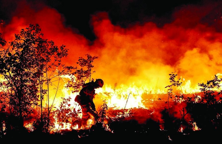 A firefighter carries out a controlled burning in Gironde, France on Monday as he tried to stop the spread of a nearby wildfire that has been burning out of control for more than a week. Agency photo