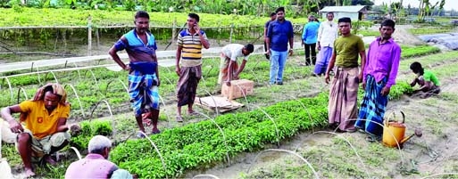 BOGURA: Buyers and sellers look busy at a vegetable saplings nursery as these kinds of nurseries at Kamarpara Village of Shahjahanpur for getting huge response from customers. The snap was taken on Wednesday.