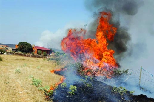 A wildfire rages as Spain experiences its second heatwave of the year, in Faramontanos de Tabara, Spain on Friday.