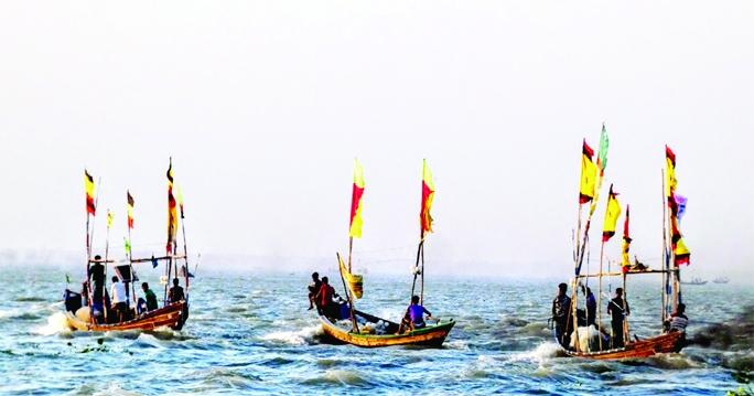 BORHANUDDIN (Bhola) : Fishermen in Borhanuddin, Bhola fishing in the Meghna River every day hoping for hilsa but return with empty trawlers. The photo was taken on Friday.