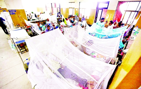 Dengue patients inside mosquito nets taking treatment at a hospital in the capital on Saturday.