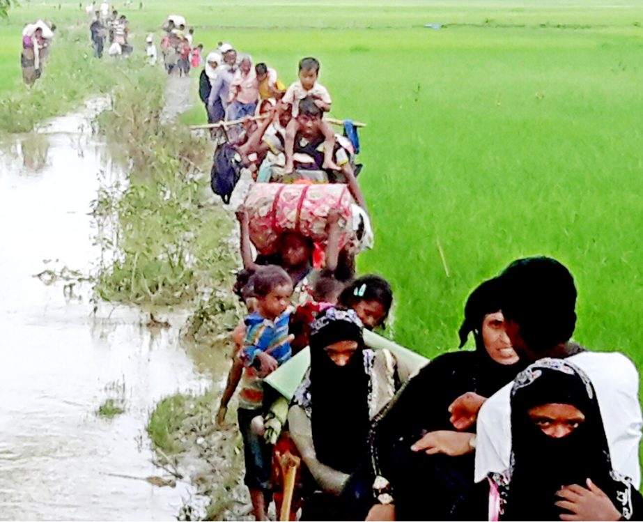 Rohingyas are coming through Teknaf Border on Wednesday.