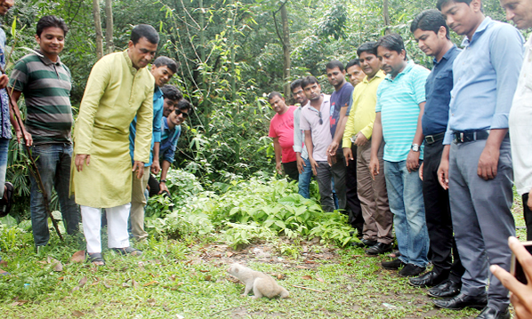 Rare species of monkey was released from the iron case of Girichaya Mini Zoo of Raozan, Chittagong into nearby forest of East Raozan in presence of Upazila Nirbahi Officer Md Shamim Hossain Reza and 2nd panel Mayor and Councilor Jamiruddin Parvez re