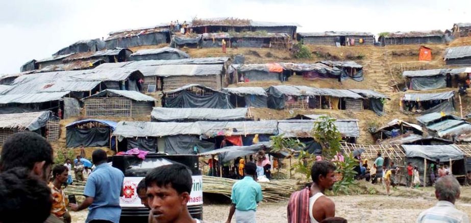 Rohingyas have taken shelter on Roitong Hill in Teknaf . This picture was taken yesterday.