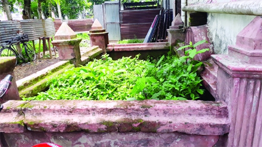 DAMUDYA (Shariatpur): The grave of freedom fighter Abdul Ohab at Damudya Upazila to be renovate immediately because jungle grew thereon on Thursday.