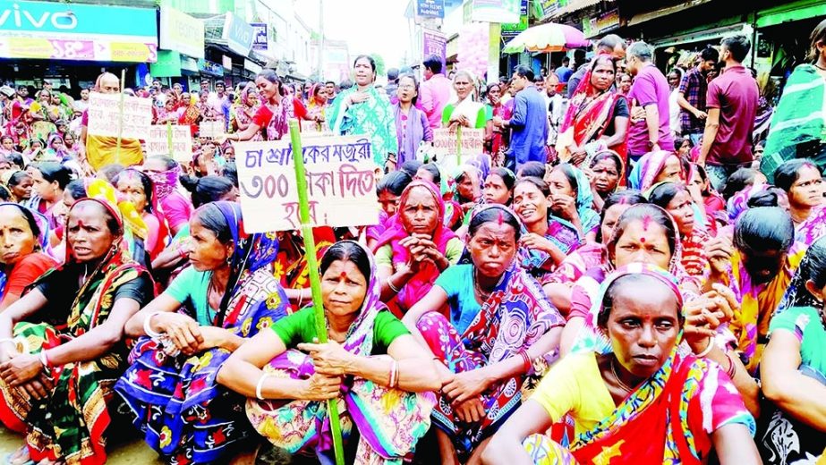 Bangladesh tea garden workers go on strike for an indefinite period in all the country's tea gardens on Saturday demanding raising of their wages for the workers. NN photo