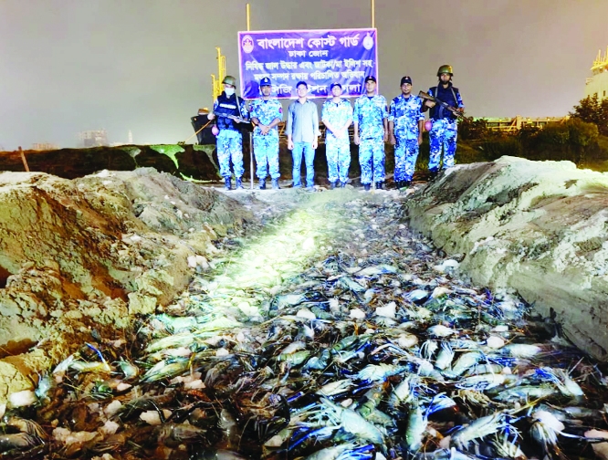 Bangladesh Coast Guard Station Pagla conducts an operation under the leadership of Station Commander Lieutenant Ruhan Manjur on Postogola Bridge in the capital and seizes 9 thousand kg of illegal jelly-pushed prawns.