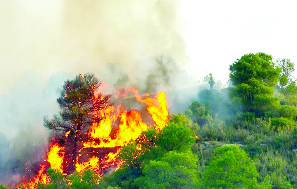 Spanish firefighters were struggling to contain a blaze that broke out in its northeastern Catalonia region