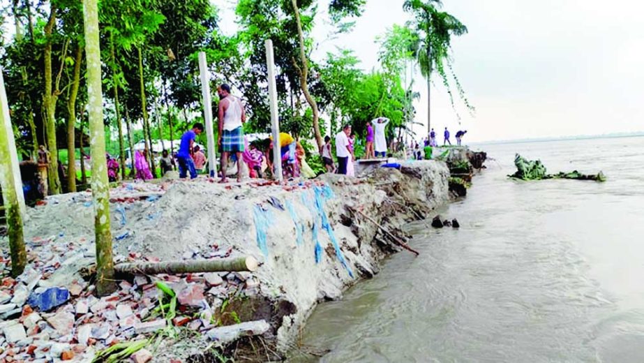 A vest area of West Kalparibazra village under Bojra Union in Ulipur upazila of Kurigram district is under threat of erosion due to strong current of Teesta River on Wednesday. NN photo
