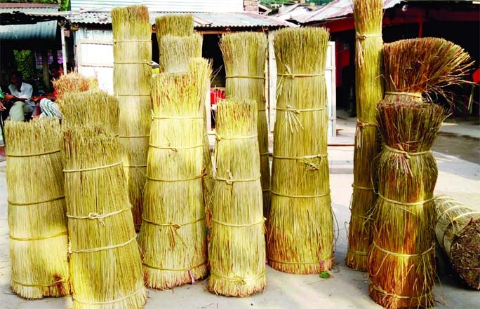 ADAMDIGHI (Bogura): A view of the main materilas of mat making at Adamdighi Upazila.