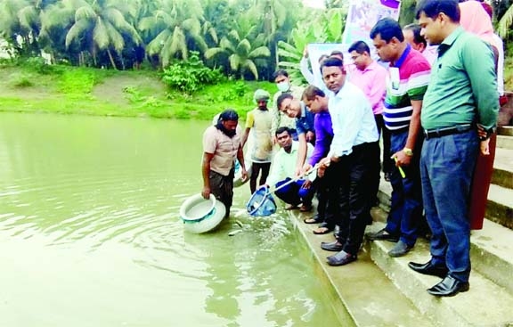 MADHUKHALI (Faridpur) : Prashant Kumar Sarkar, District Fisheries Officer inaugurates fish fries releasing programme as the Chief Guest in Madhukhali Upazila Parishad pond on Tuesday. Among others, Md. Ashikur Rahman Chowdhury, UNO was present there.